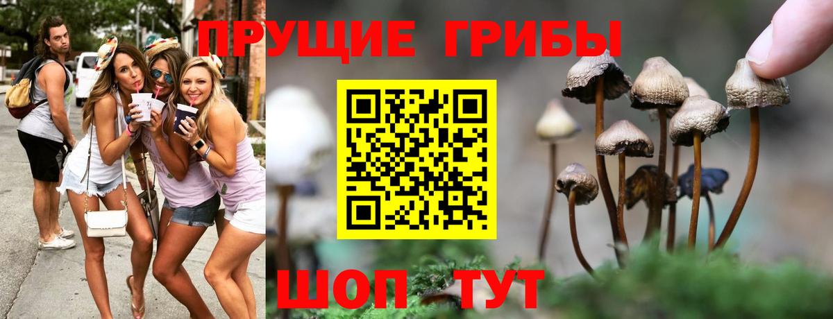 Галлюциногенные грибы Cubensis  Вход с VPN  Павлово 